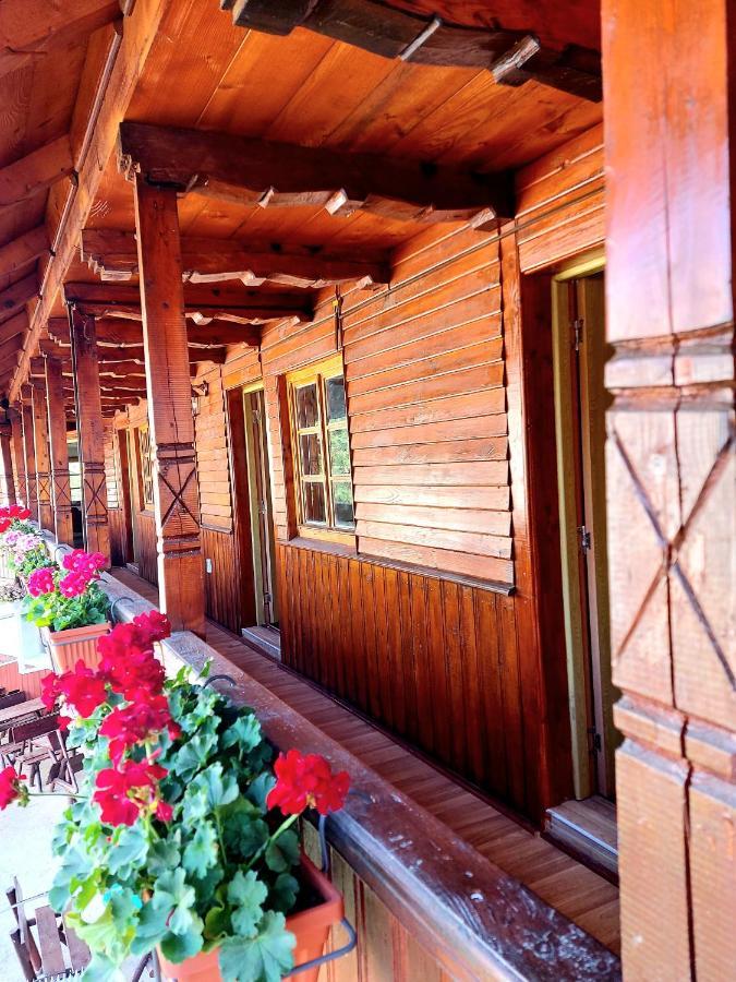 Pensiunea Boca Воронец Экстерьер фото
