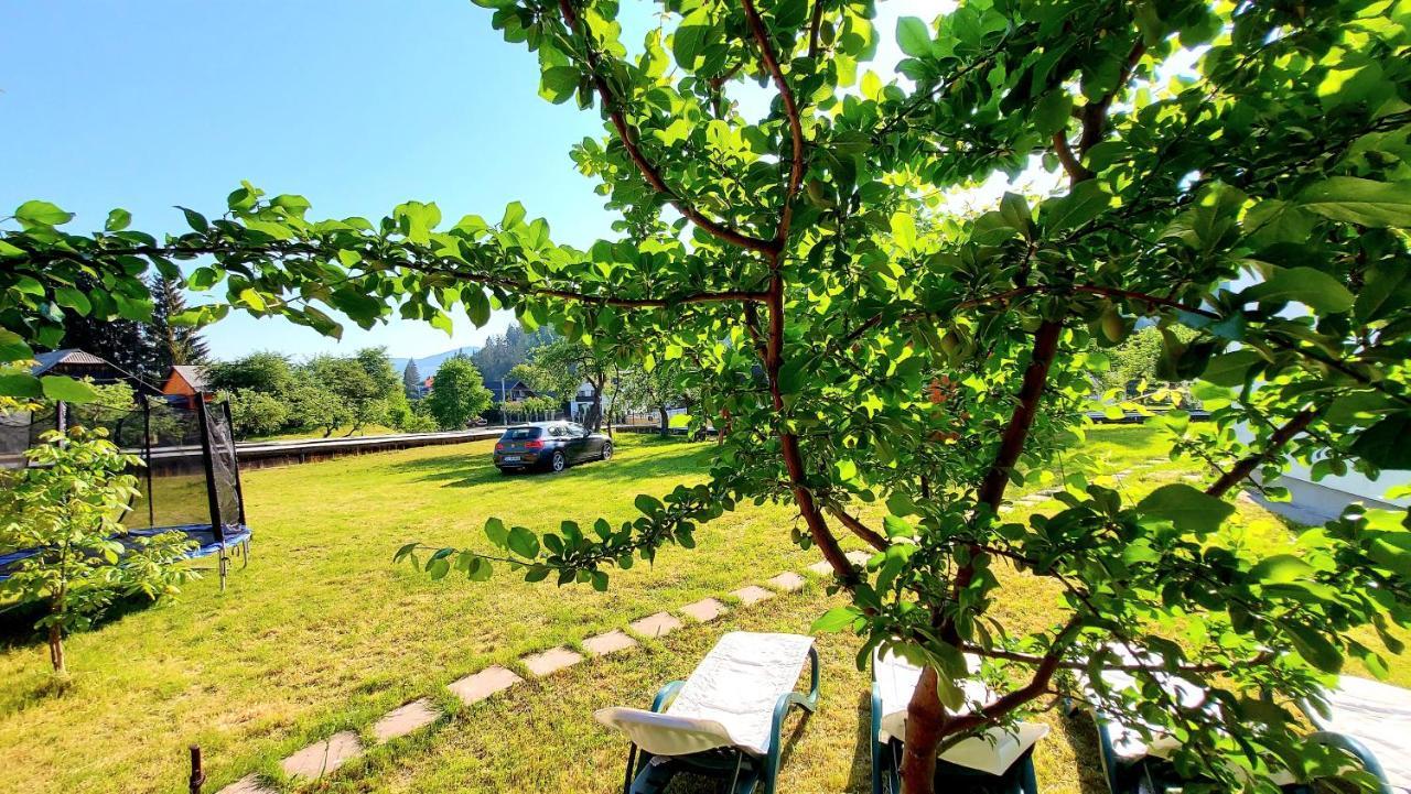 Pensiunea Boca Воронец Экстерьер фото