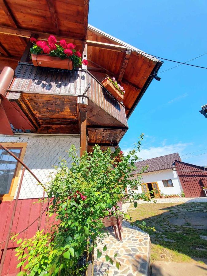Pensiunea Boca Воронец Экстерьер фото